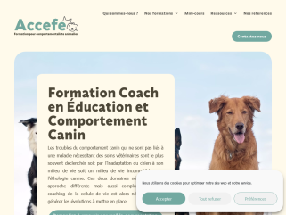 Formation Coach en Éducation et Comportement Canin