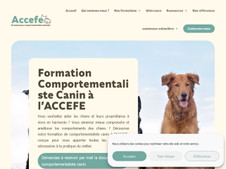 Formation comportementaliste canin à l’ACCEFE