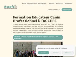 Formation éducateur canin à l’ACCEFE